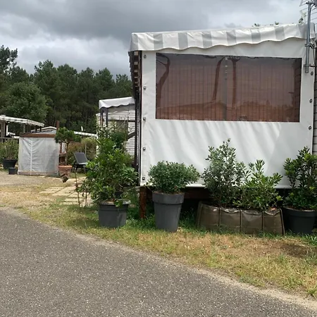 Kokua Mobil Homes Residentiels 4 Etoiles Julien En Born Kemp *